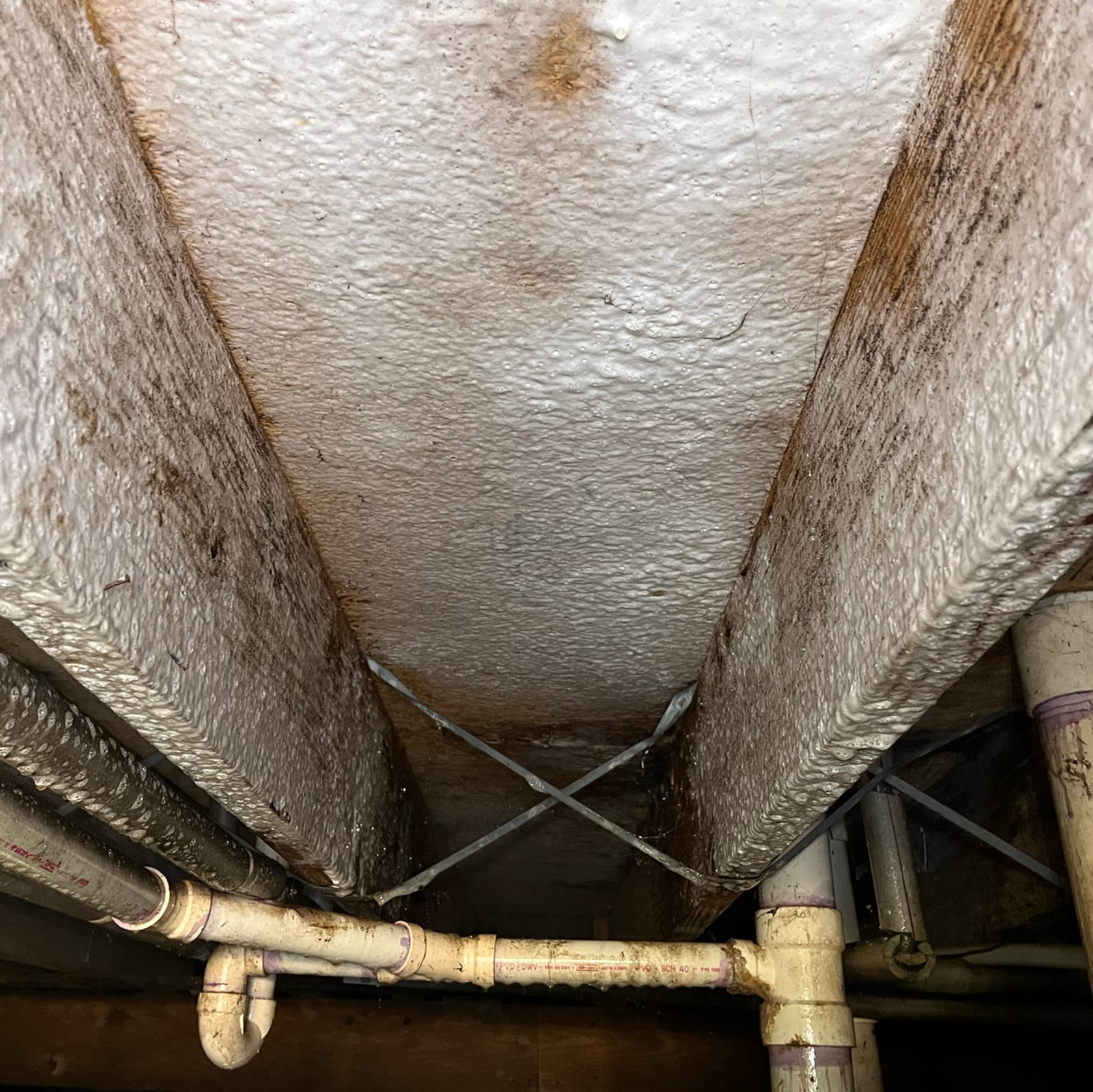 Mold Remediation in Indianapolis IN